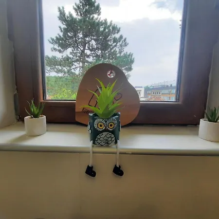 Apartman Koricanac Vrnjačka Banja