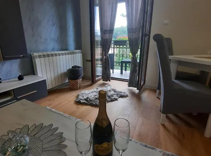 Koricanac Apartament Vrnjačka Banja