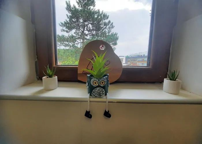 Apartament Koricanac Vrnjačka Banja